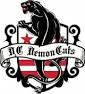 BLog 1a Logo of the Demoncats roller skating team BLog 1a Logo of the Demoncats roller skating team